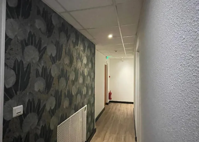 普洛古莱酒店 酒店 昂热